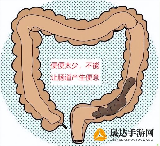 如何调理憋不住尿导致尿到裤子里的问题：结合饮食、日常生活习惯和医学干预的综合建议