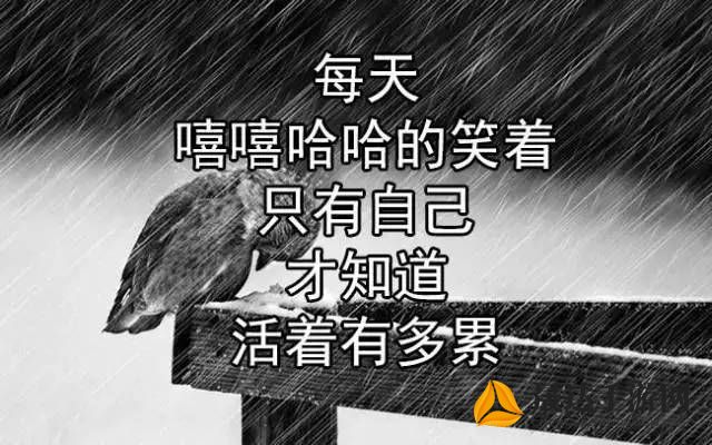 如果自己被兽化了：探讨摒弃文明外壳后的人性本质与野性冲突的困惑