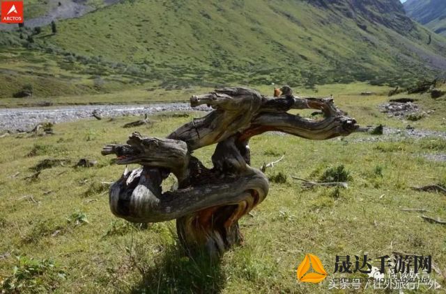 穿越奇幻大门，探索无穷秘境：异世界游记免广告无限资源版全新体验揭秘