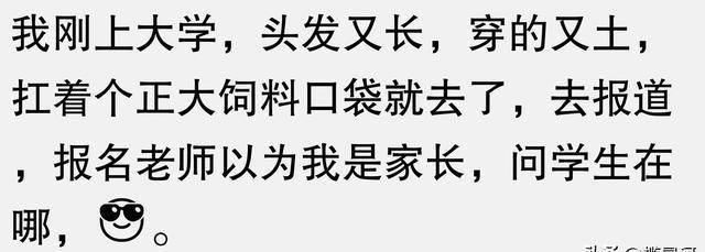 那年的暑假全通关攻略：如何合理规划时间和精力，玩转每一篇章节并提升自我能力