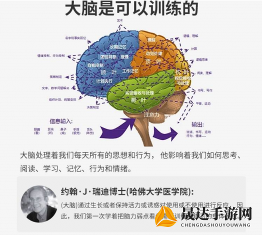 揭秘当代人生最强大脑答案题目:如何让记忆力、逻辑思维和创造力全面提升?