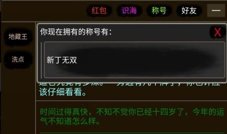 侠行天下MUD游戏攻略：如何查看和理解角色容貌设定以提升游戏体验