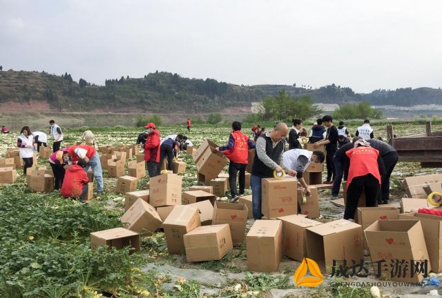 探讨星火商会发展历程与业务板块：它真的是中国新一代电子商务领头羊吗？