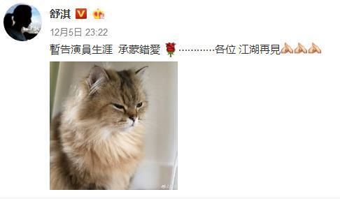 深度剖析《猫之宿约者》配音演员的配音生涯与技巧，揭秘他们为角色赋予生命的故事