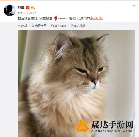 深度剖析《猫之宿约者》配音演员的配音生涯与技巧，揭秘他们为角色赋予生命的故事