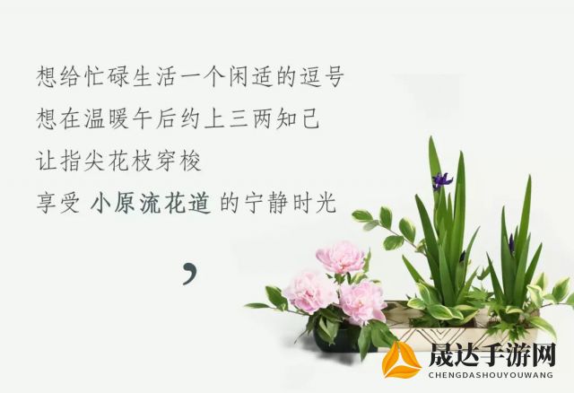 怡然自得的闲暇时光：以宁静的阅读和自我对话，感受悠闲时刻中醇厚的人生味道