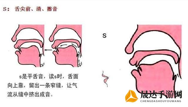 详解发音技巧：如何正确读出英文单词Twirdora的音标和发音？