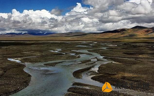 一图纵览：打破地域界限，全面合并动物城地图，开启全新城市探索之旅