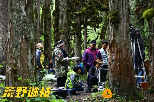 真正的原始生活：原始陌生男女荒野森林生存21天，体验纯自然野外求生的艰难和冒险