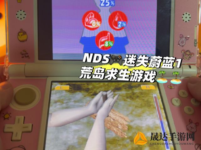 深度解析：《迷失蔚蓝nds》全攻略详解，分步讲解游戏关键要点及完美通关秘诀，助你在虚拟世界中立足