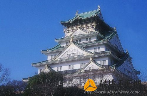 病病神社建造中最新版：倾注工匠心血，探索日本神社建筑艺术的最新展现