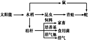 异类共生：揭秘吸血生物如何同化动画人类，巧妙转化食物链为互助共生关系