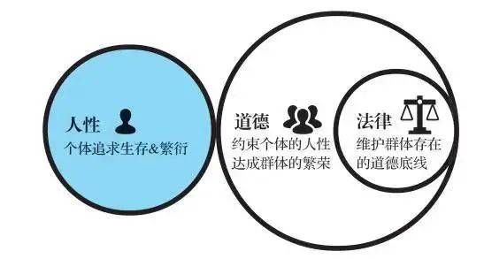 探讨现代社会对异性恋者的认知，以《A人片》为切入点，深挖社会观念、道德伦理和法律措施之间的关系