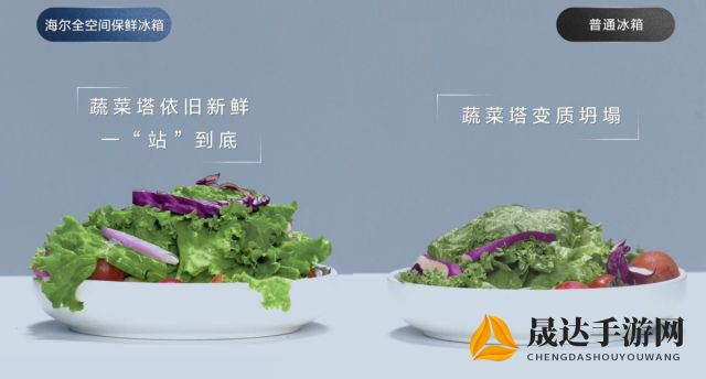 探讨新型植物肉1V2，在环保和营养之间如何巧妙平衡，引领食品科技创新潮流