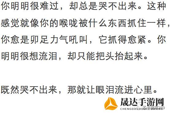 一支笔C哭自己，从深度心理揭示笔者内心复杂情绪的表达方式以及其对写作质量的影响